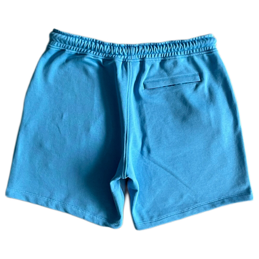 Synaworld ‘Syna Logo’ Shorts- Blue and Gray